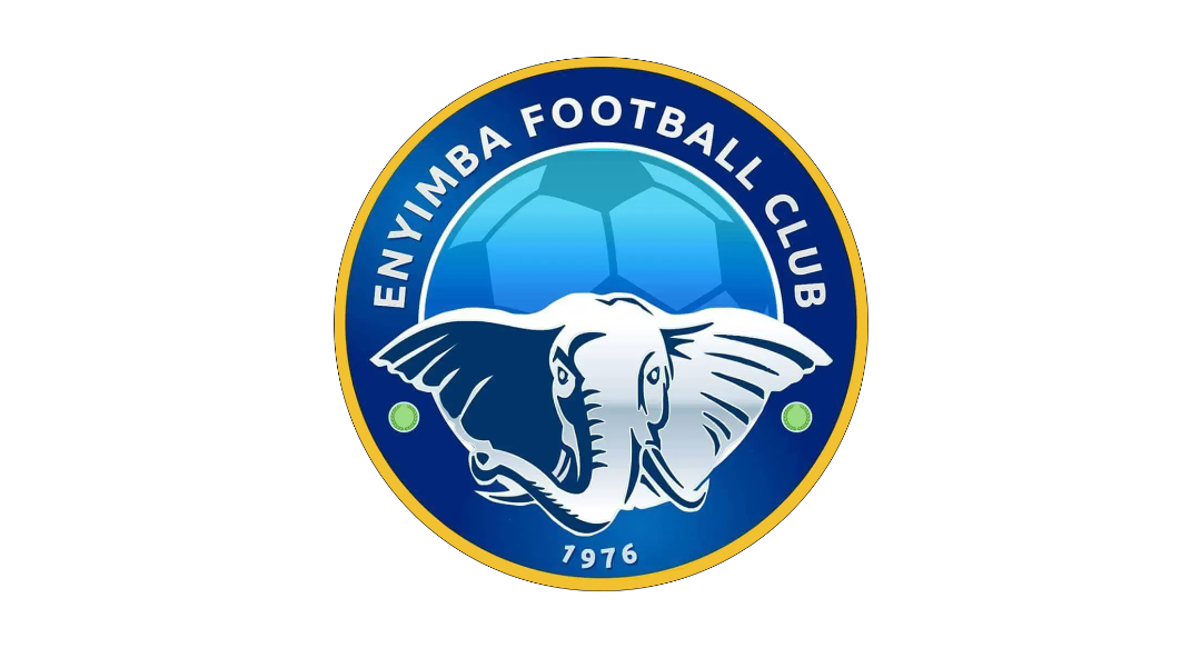 Official image for Enyimba FC