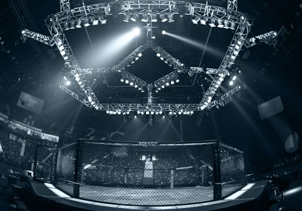 The UFC octagon under the arena lights